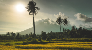 a journey between cultures