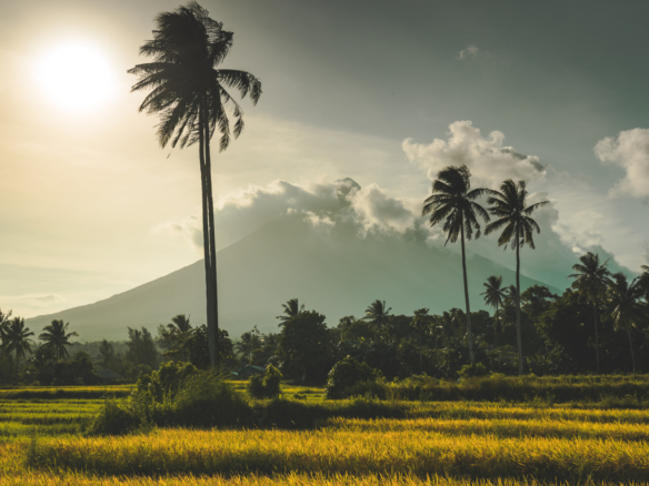 a journey between cultures