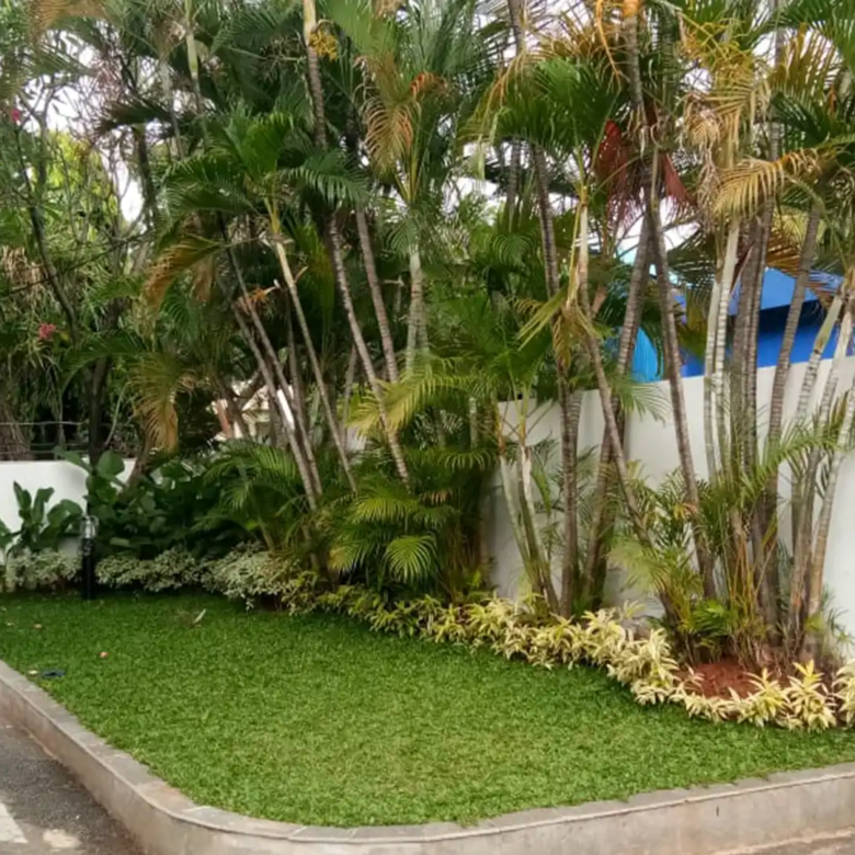 Executive Paradise-4BR-Garden