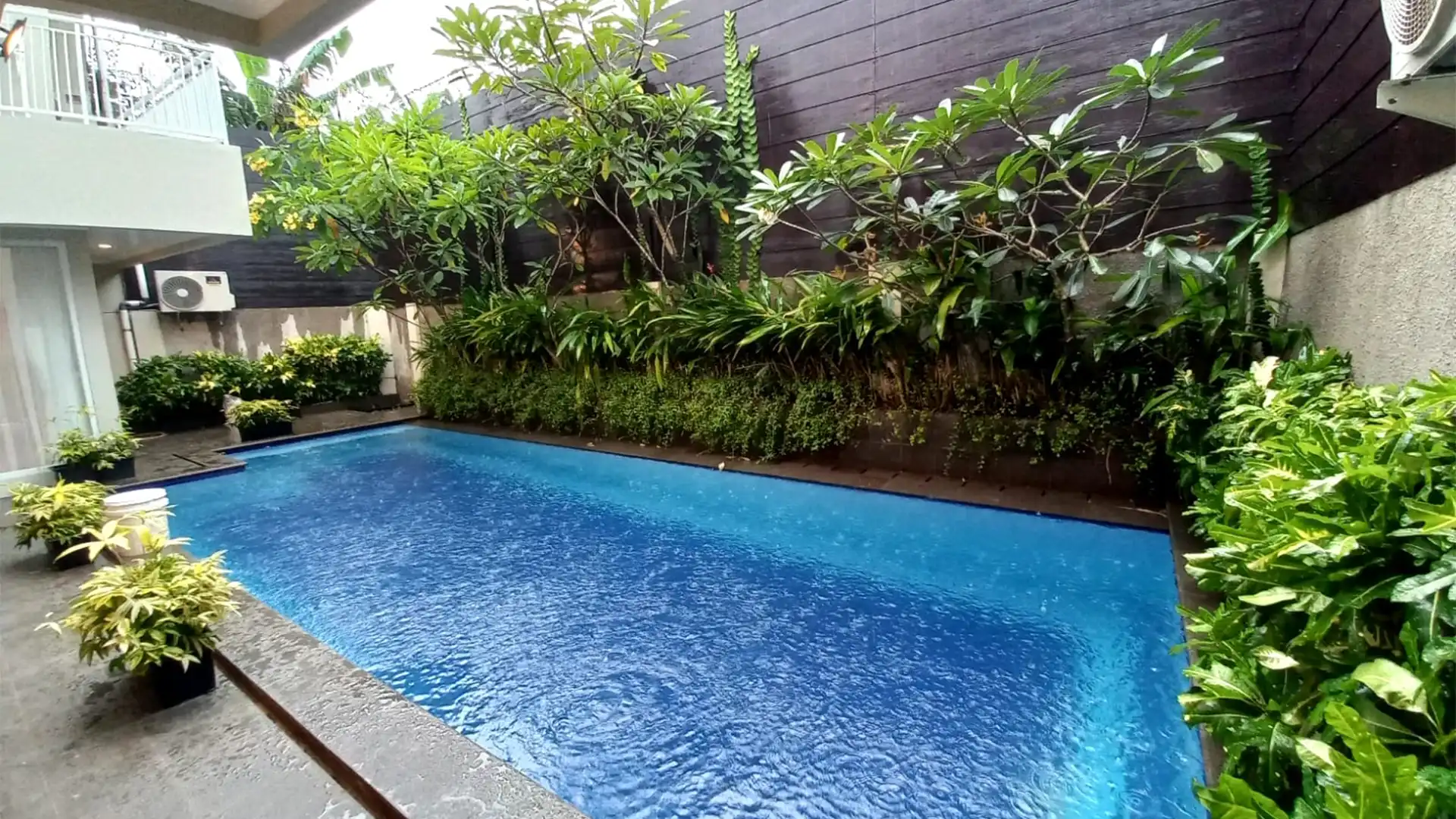 Executive Paradise-5BR- Swimming Pool Executive Paradise-5BR- Swimming Pool