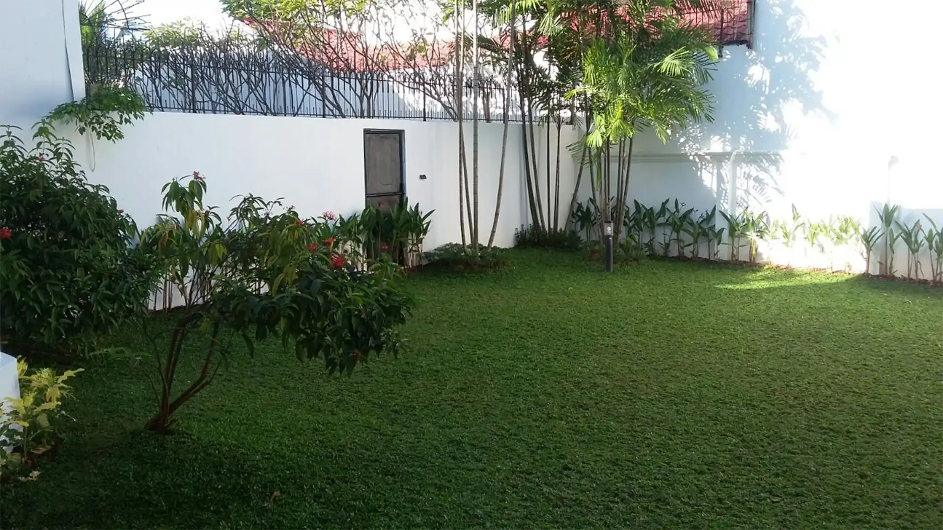 Executive Paradise–Backyard Executive Paradise--Backyard