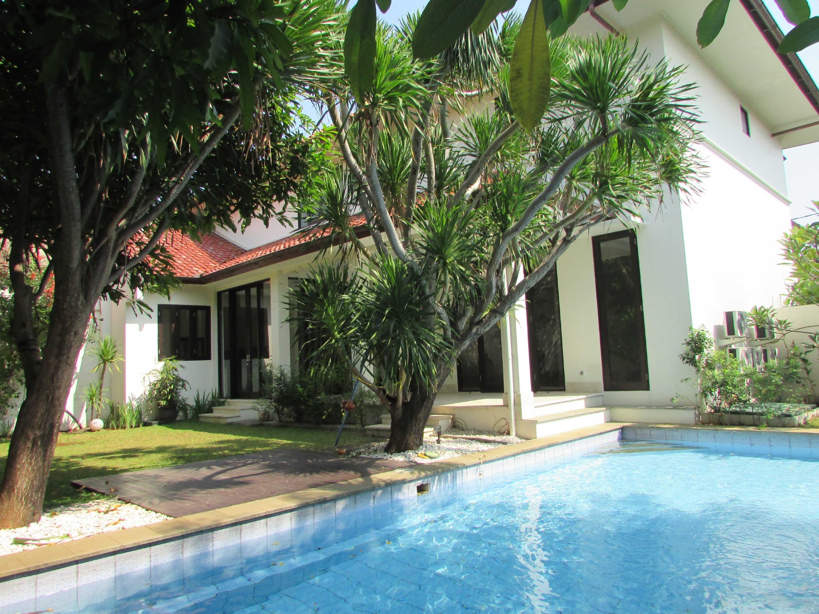 Palm Mansion Kemang - swimming pool