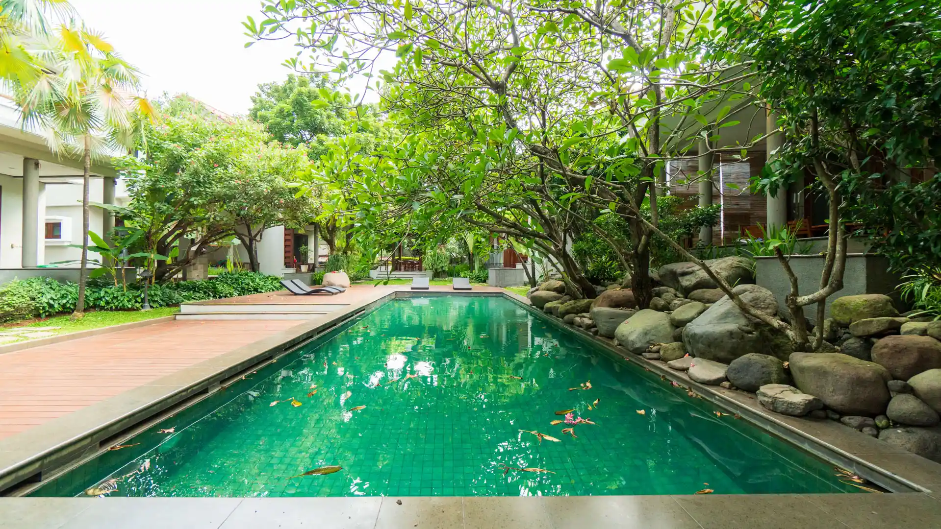 Swimming Pool Complex