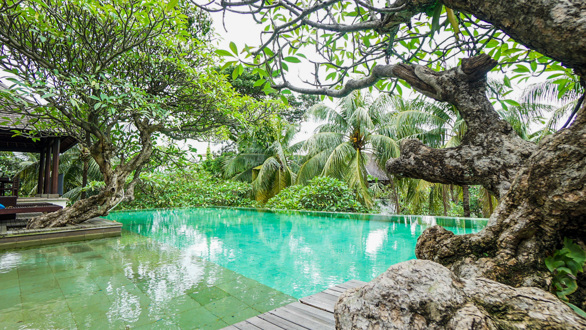 Atmaya – Swimming Pool-5