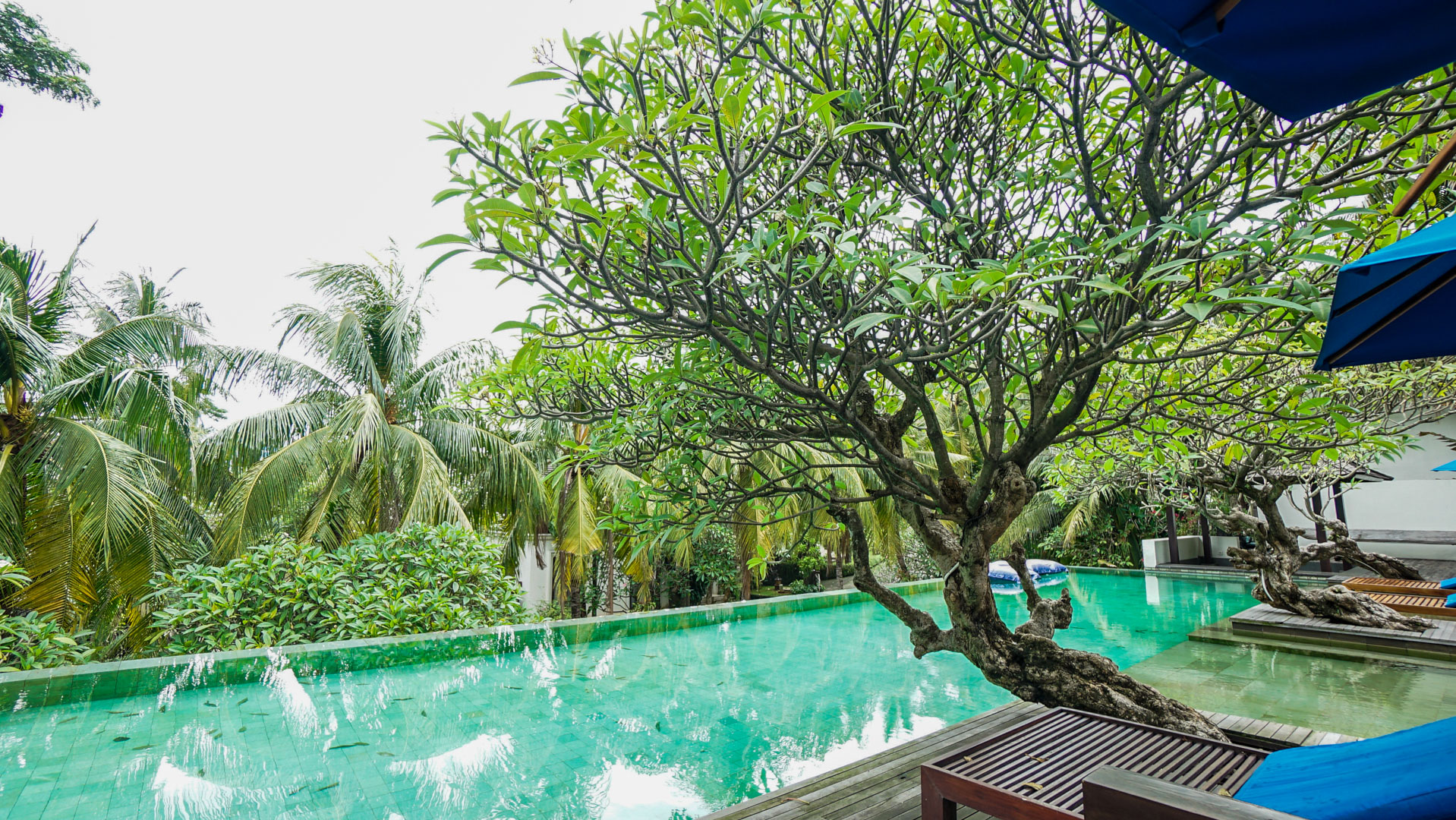 Atmaya – Swimming Pool-6