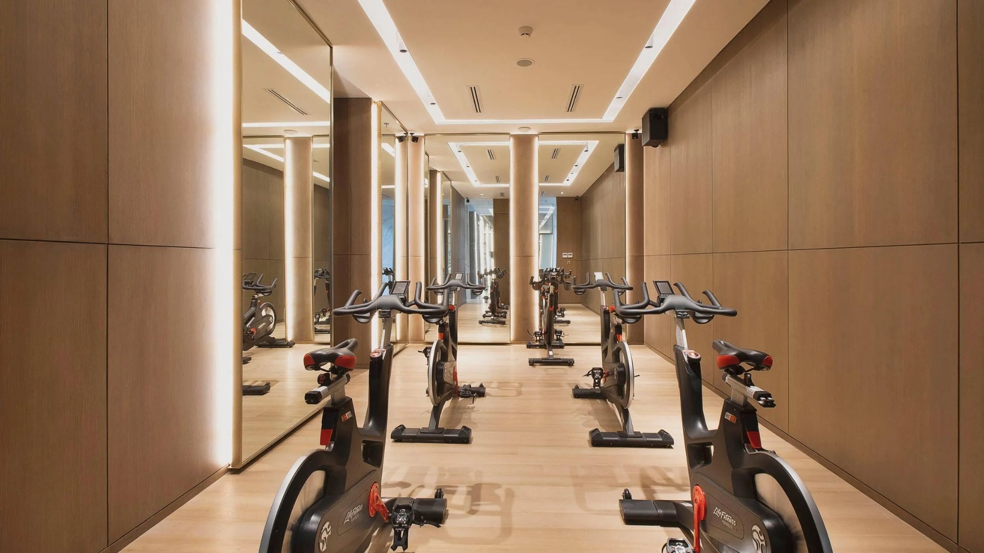 Verde Two-Gym Static Bike