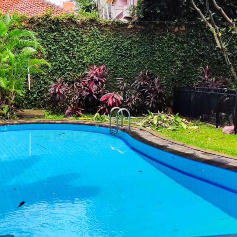 Jeruk Purut No. 59 - Pool