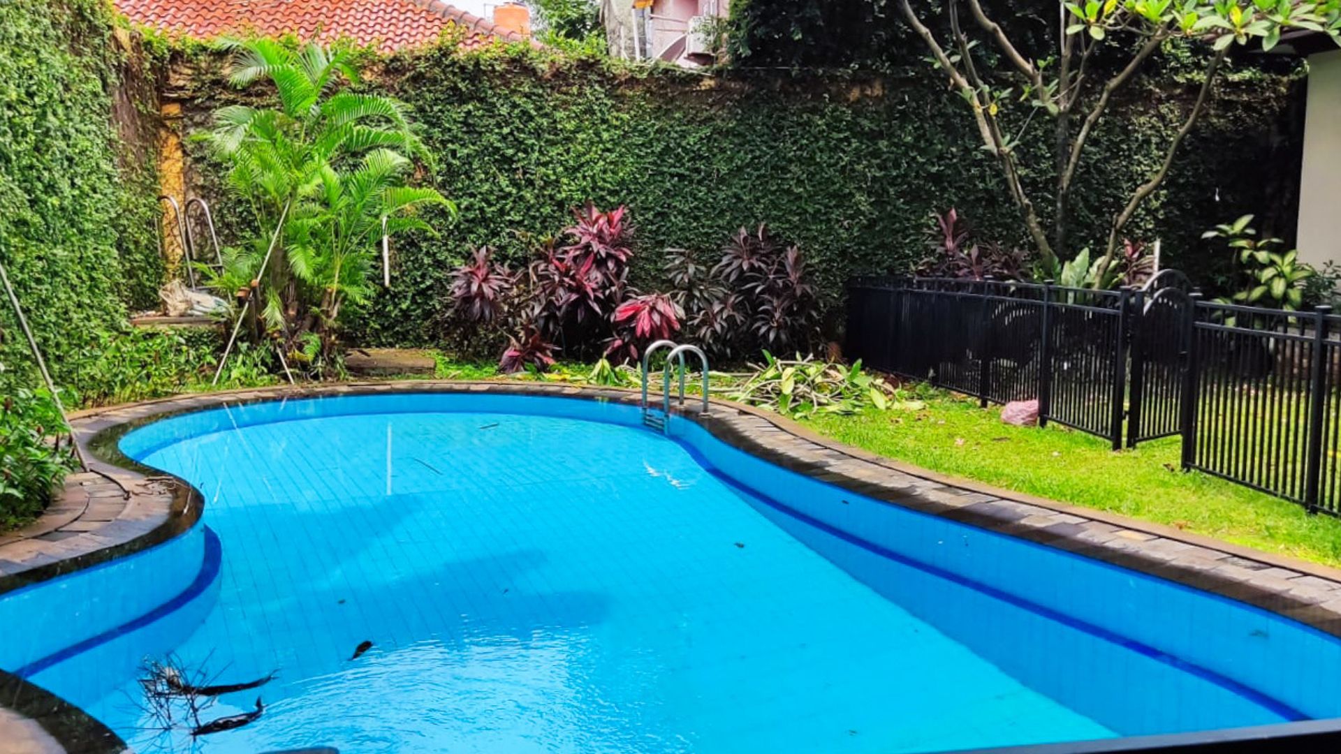 Jeruk Purut No. 59 – Pool Jeruk Purut No. 59 - Pool