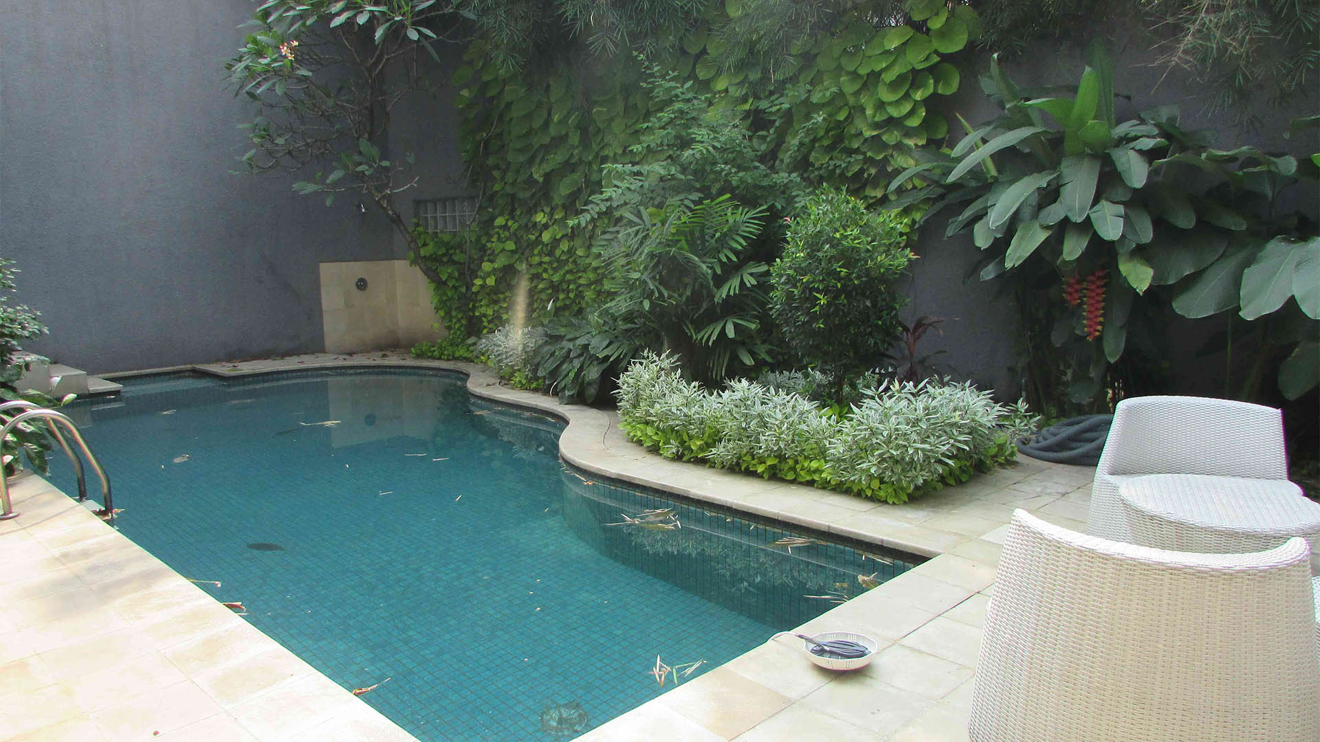 ASEM 2-3BR- SWIMMING POOL & BACKYARD