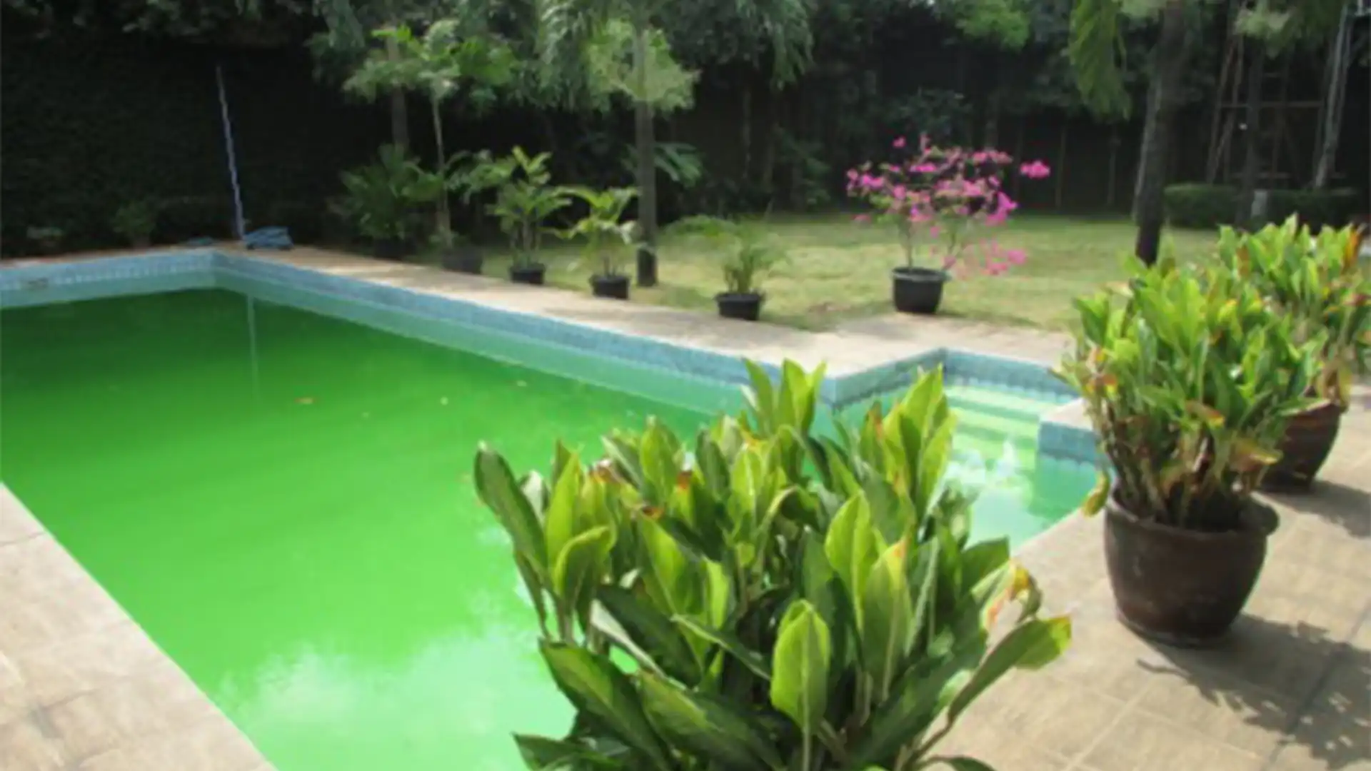 Cipete – Large Expansive 5BR Home