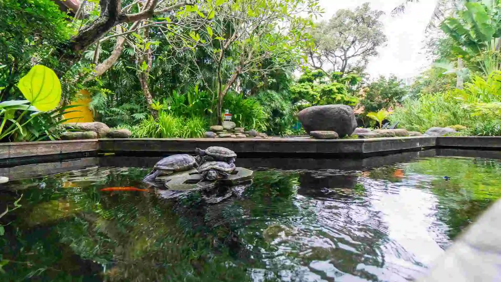 Mini Zoo