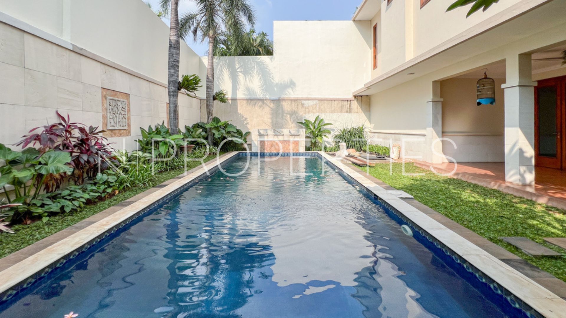 Tumaritis 1B - CLD525 - POOL