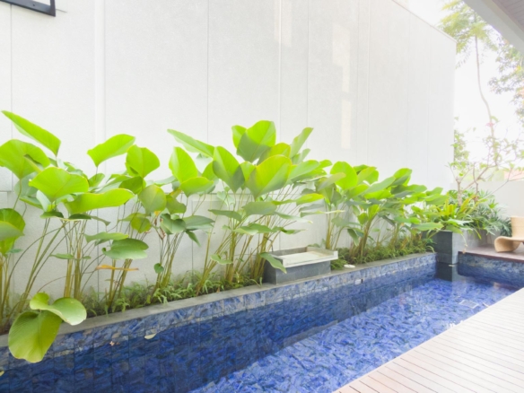 For Buy 4BR House South Jakarta Cilandak CLDS638