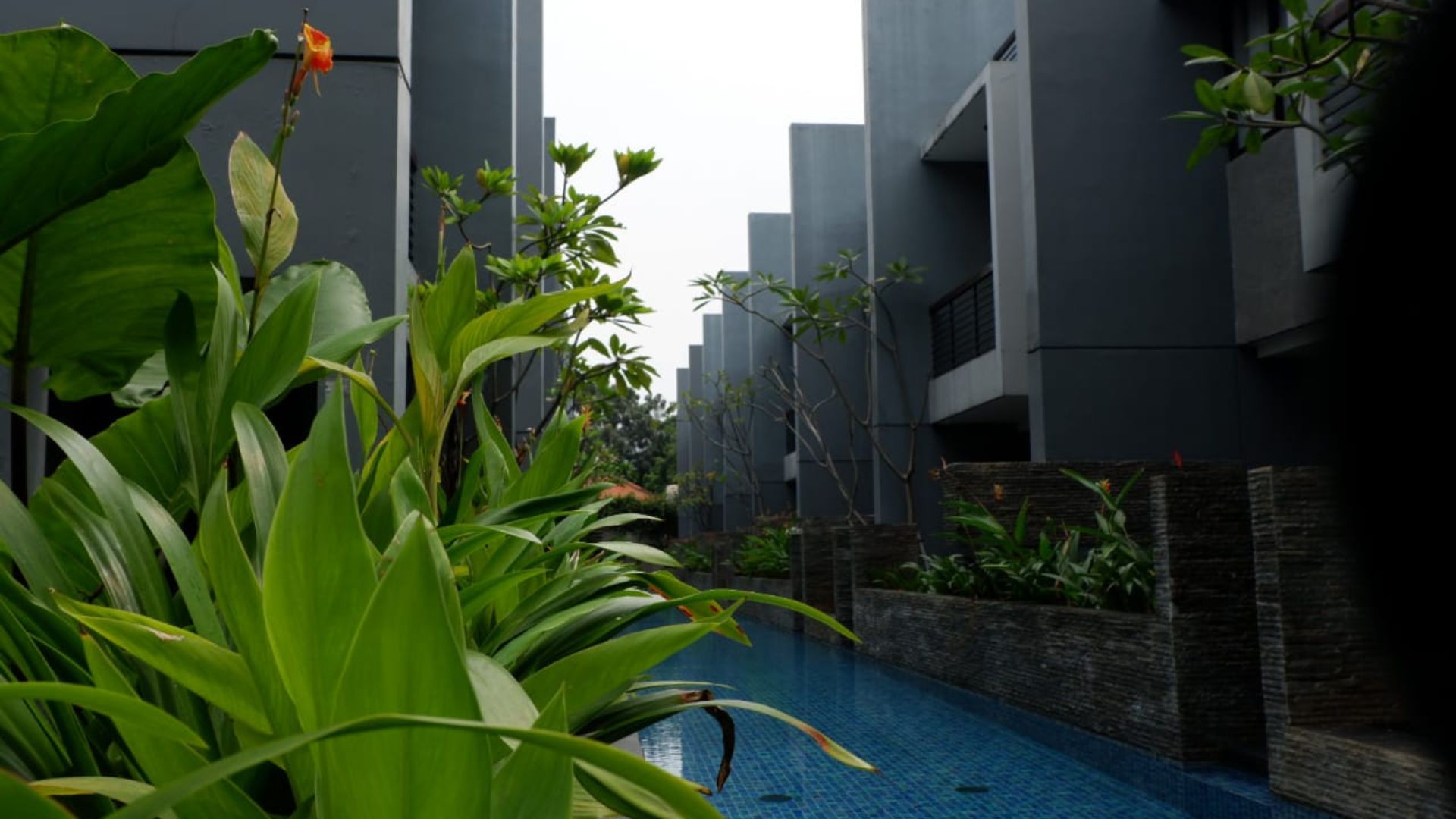 For Rent 3BR House South Jakarta Kemang KMG222