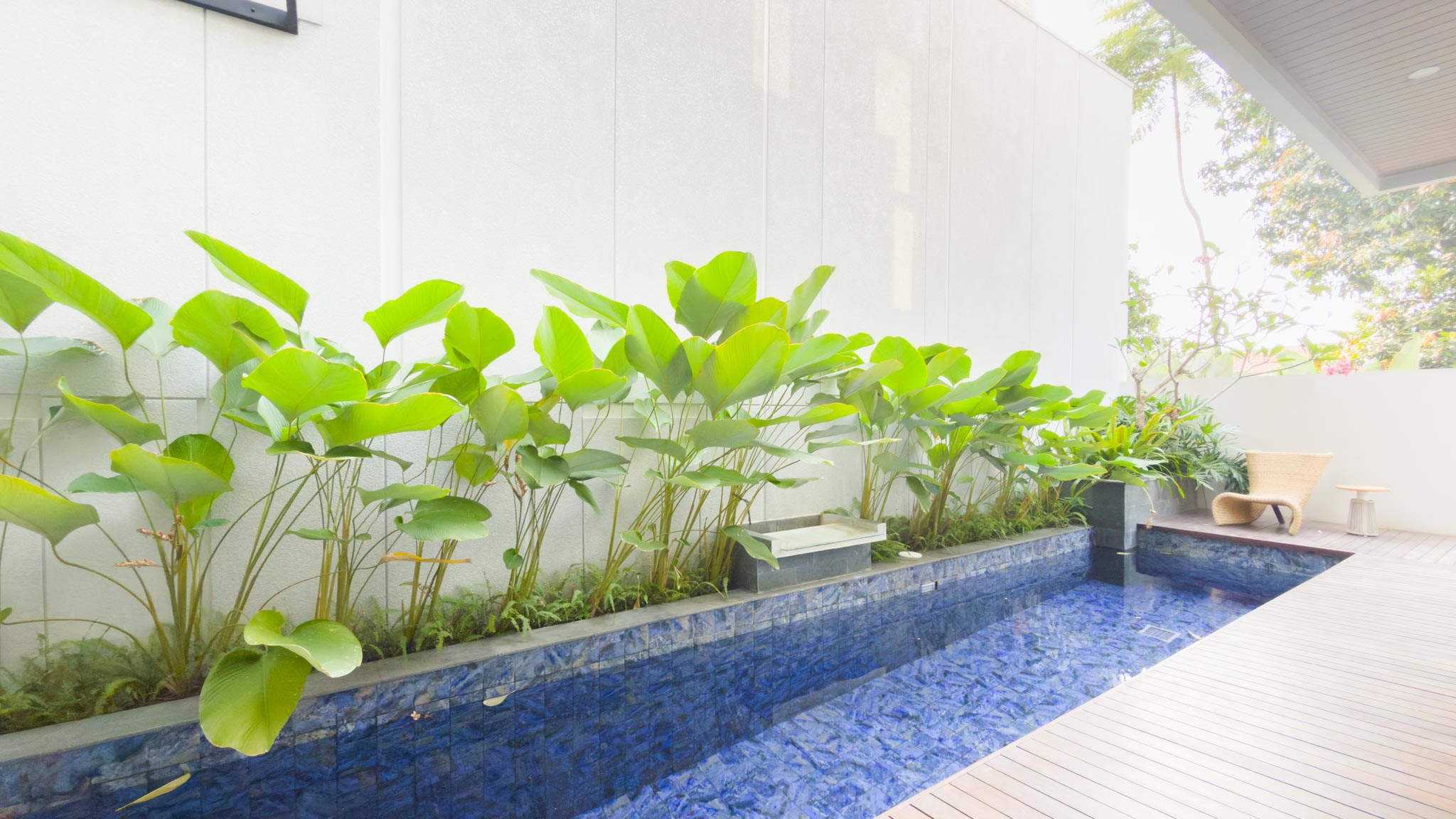 For Buy 4BR House South Jakarta Cilandak CLDS639