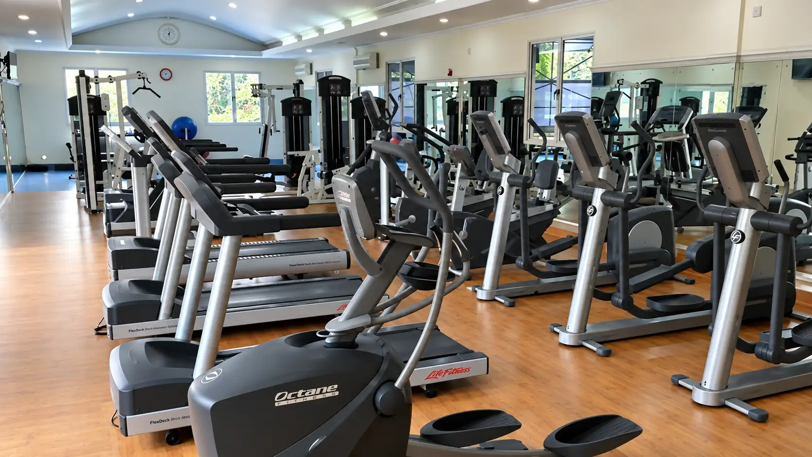 Modern Gym