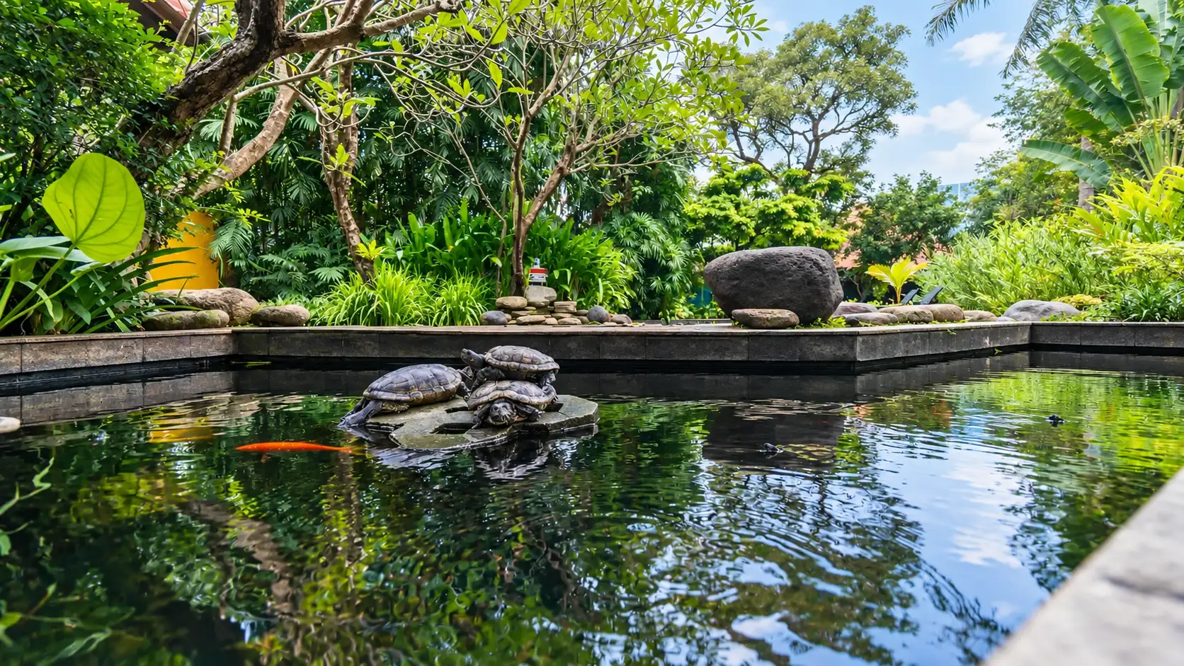 Mini Zoo