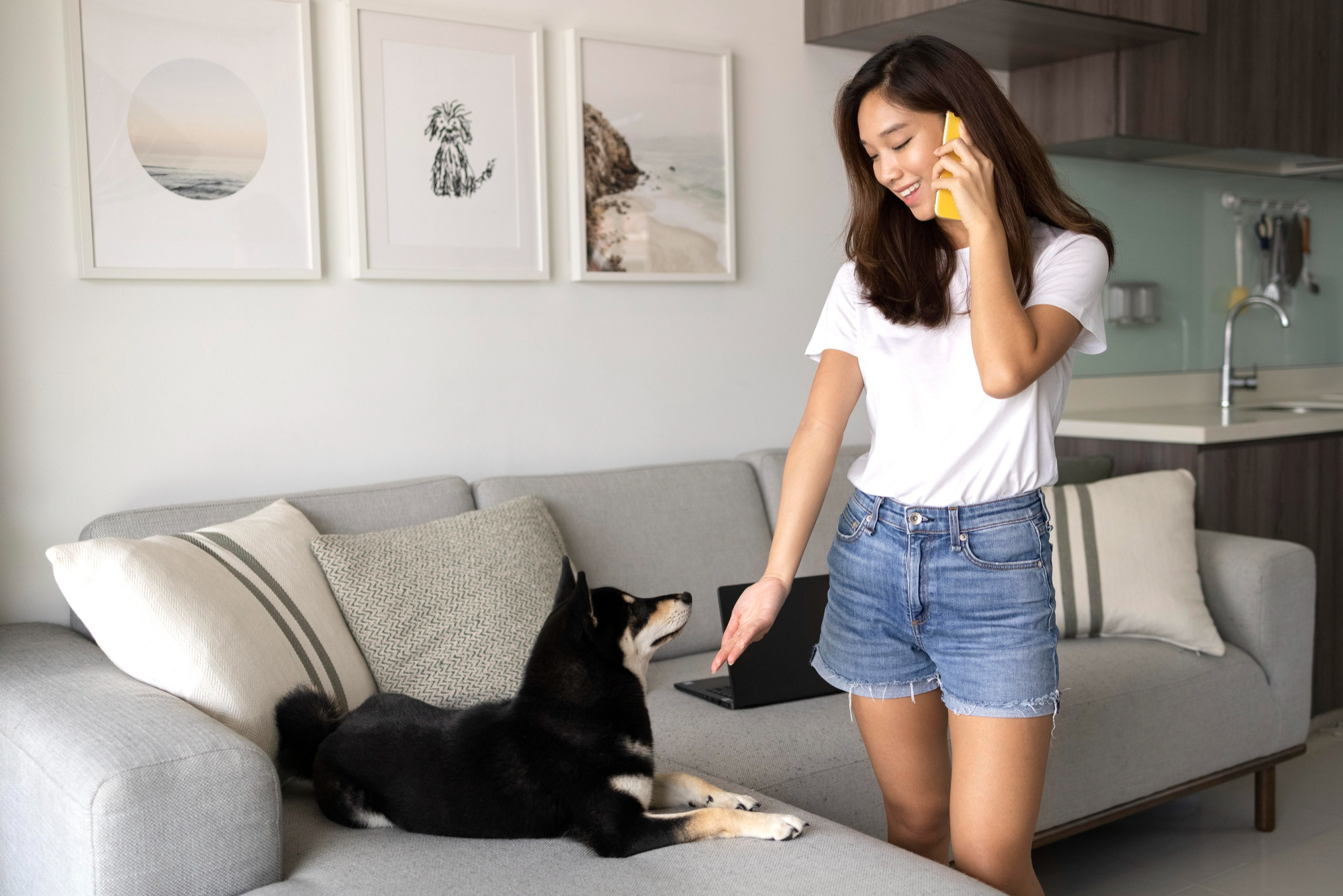 pet friendly apartments in jakarta