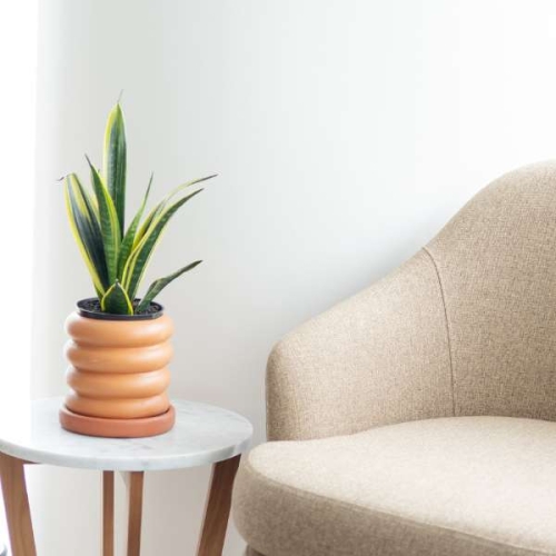 Soft Furnishings & Accessories