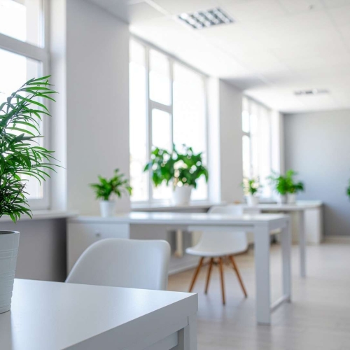 Zoning & Circulation Planning